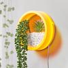 Succulent Planter Durable Decorative Leakproof Hanging Hydroponic Styles Pot for Balcony
