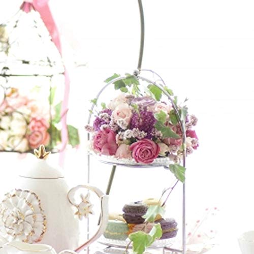Nagao Cake Stand, 2-Tier, Silver, Large Size, Made in Japan