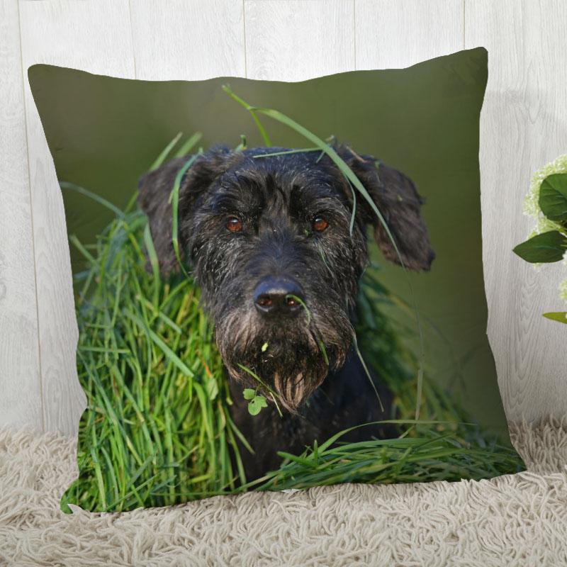 Pillow Cover Customize Schnauzer Pillow Case Modern Home Decorative Pillowcase For Living Room 45X45Cm,40X40Cm A.4.29