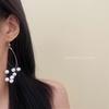 Korean Style Long Tassel Beaded Earrings - Women's Luxury Fashion Versatile Ear Hooks