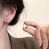 Chic No-Pierce Smooth Ear Clip Earrings for Women – Trendy & Versatile