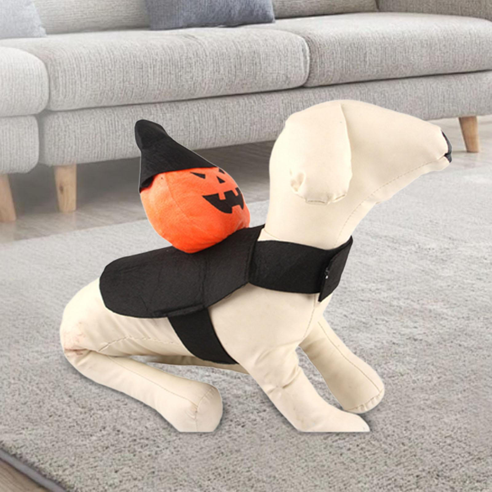 

Костюм для собак на Хэллоуин Одежда для маленьких собак Кошки Креативная одежда для домашних животных Сцена S