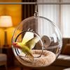 Spherical Transparent Bird Nest Wear-resistant Hanging Pigeon House Bite Resistant Comfortable Squirrel Bed Pet Supplies