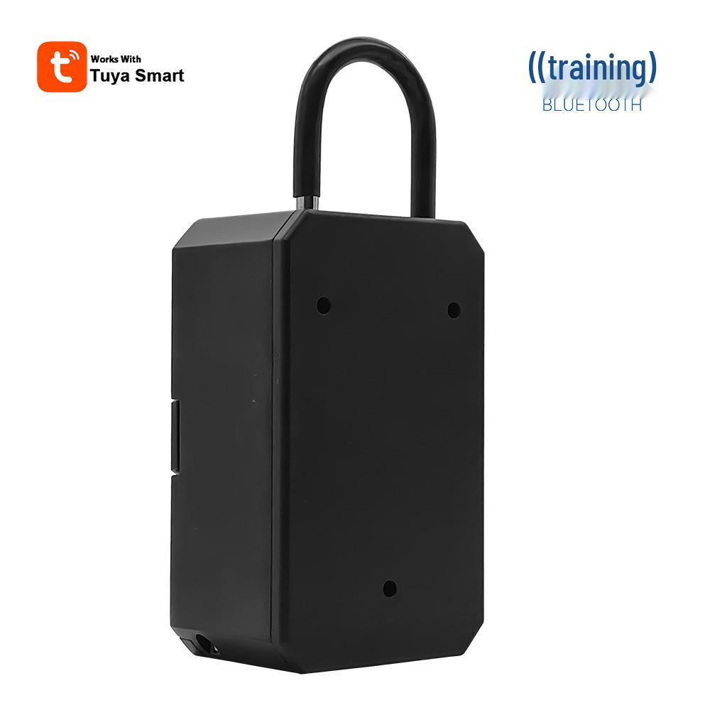 Tuya Smart Bluetooth Key Lock Box with Remote and Fingerprint Unlocking, Anti-Lost Feature