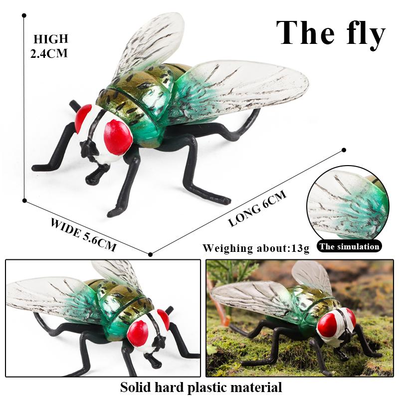 Oenux  Insect Animals Model Butterfly Bee Dragonfly Mantis Ant Snail Action Figures Jouet Collection Decor Kids Education Toy