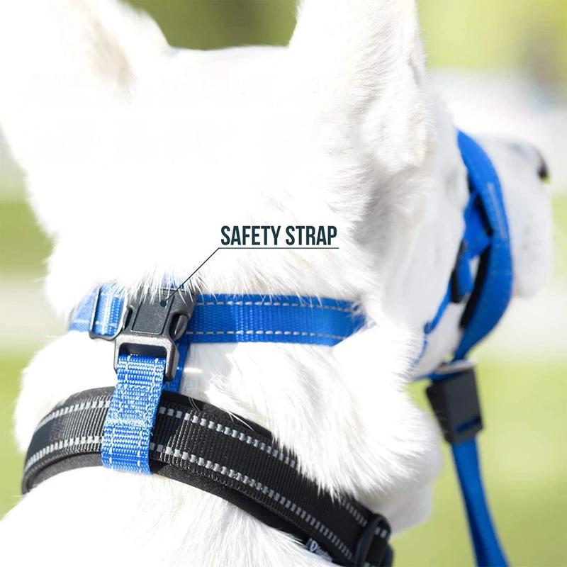 Hunde Maulkörbe Anti-Bell Hundehalsband Hundetrainingswerkzeug Nylon Set Mit Verstellbarem Anti-Biss Schnellverschluss Hundemaulkorb