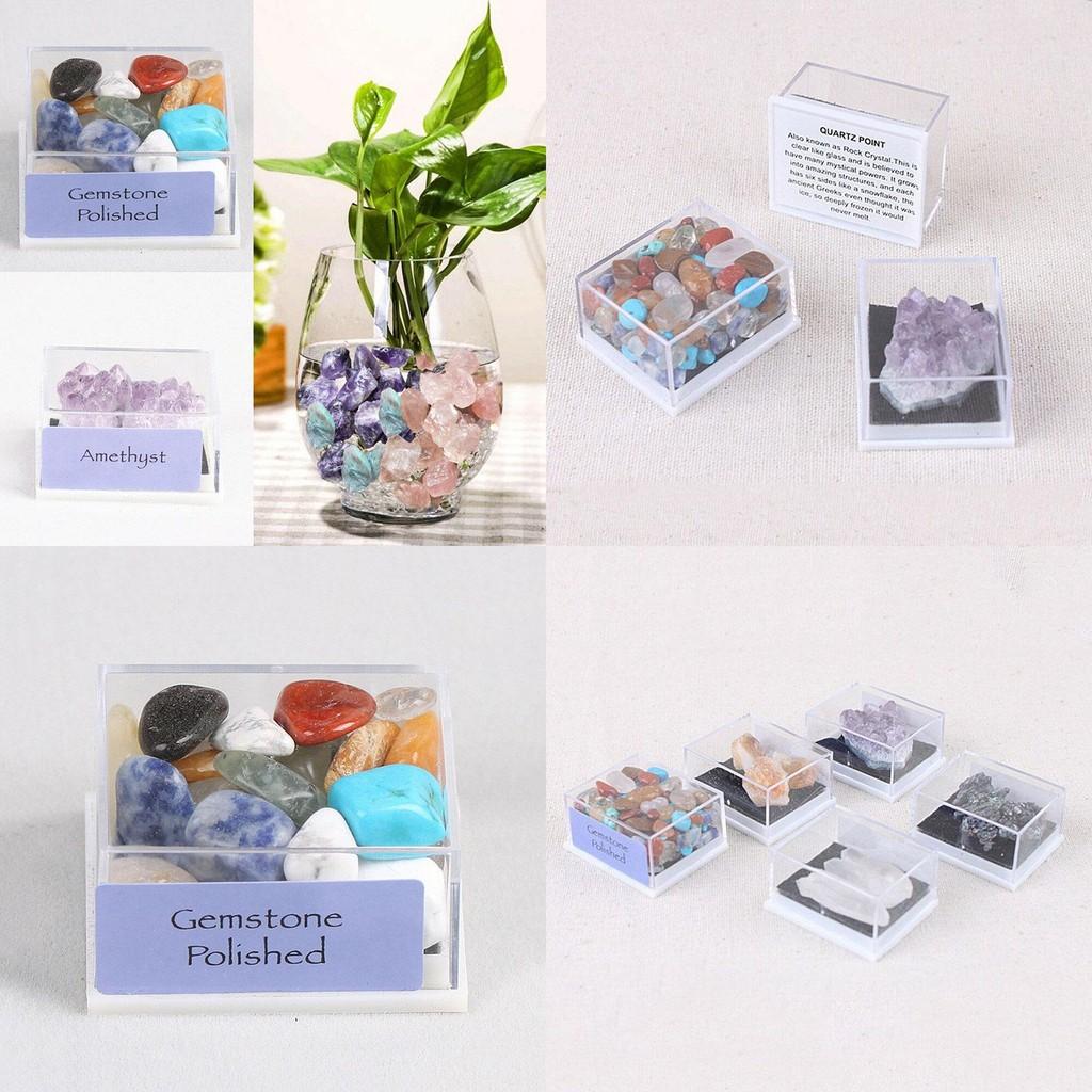 Beautiful Mixed Natural Rough Stones And Rose Quartz Crystal Mineral Rocks Collection