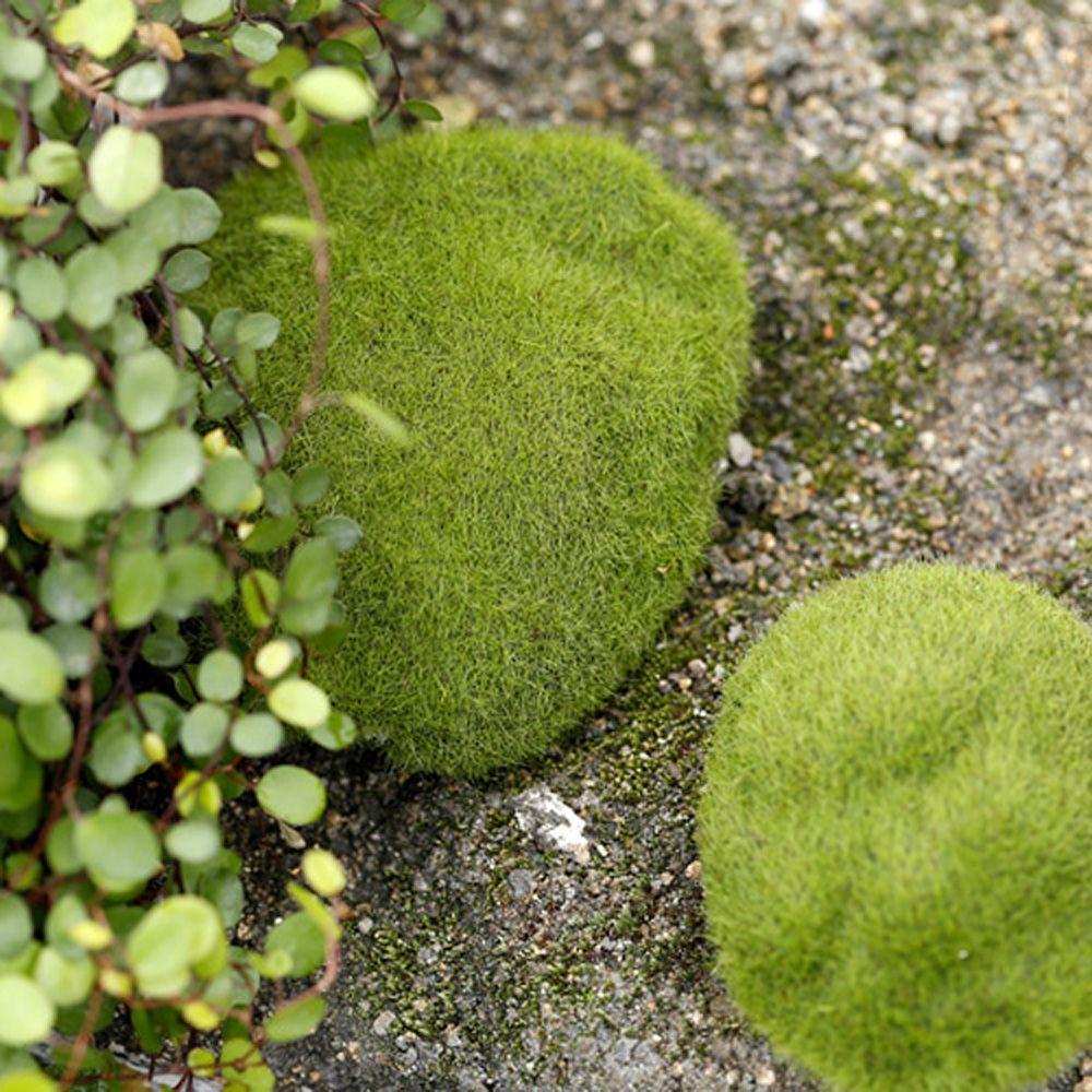 Fake Landscape Stone Lawn Greenery Artificial Moss Plants Decor Floor Adornments Garden Decoration