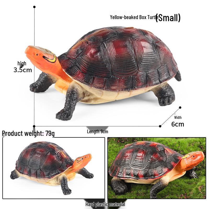 Children's Cognitive Marine Animal Models: Sea Turtle and Tortoise Toys