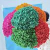 Immortal Hydrangea Dried Flowers for Elegant New Year, Indoor/Outdoor DIY Décor, and Preserved Flower Art