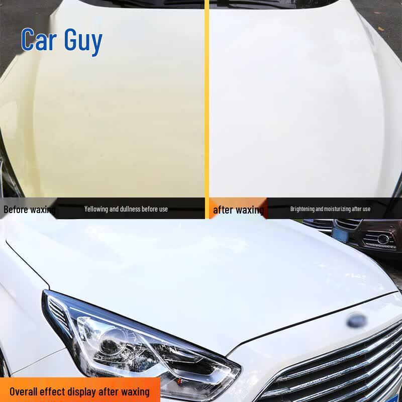 Car Wax Polish & Coating Kit