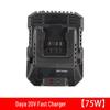Dayou Lithium Battery Fast Charger 