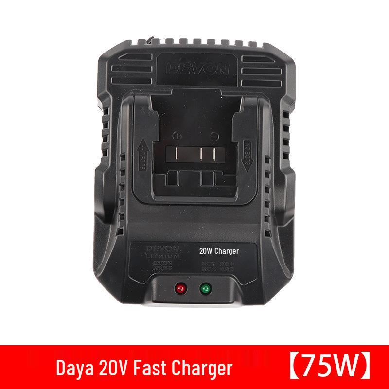 Dayou Lithium Battery Fast Charger 