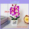 Silk Orchid Plant With Love Pot For Home Decor And Gift Ideas