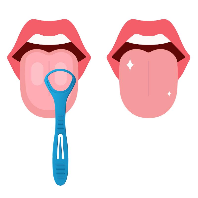Portable Tongue Scraper Set: 36-Piece Plastic Oral Cleaning and Toothpick Kit