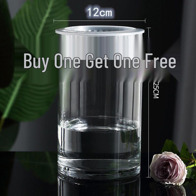 Hydroponic Glass Cylinder Vase for Pothos & Peace Lily - Transparent Water Culture Container with Free Shipping.