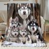 Coperta Chiffon Famiglia Husky, Coperta Leggera Portatile per Viaggio, Morbido Caldo Design Invernale, Accogliente Arredamento Casa per Tutte le Stagioni