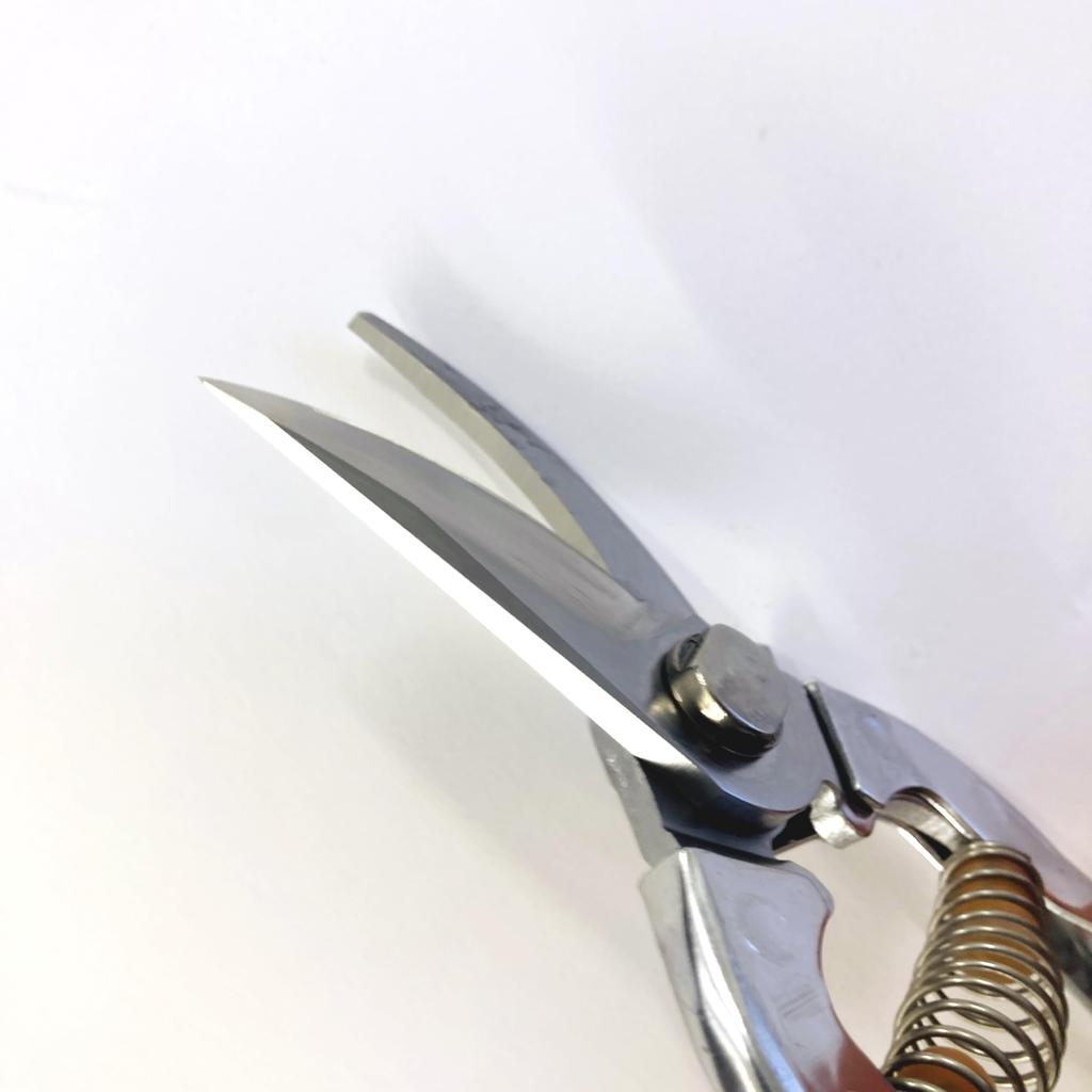 Fukuzen Klingenstahl Obstbaum-Schnittschere 200mm in Echtem Klingenfinish Leichtes Design Schneide und saubere Schnitte, die schonend für die mit