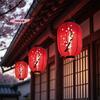 M-Japanese Lantern Hanging Paper Lanterns Art Decor For Sushi Restaurant, Izakaya, Wedding, Bistro, Parties 10 Inch Decorations