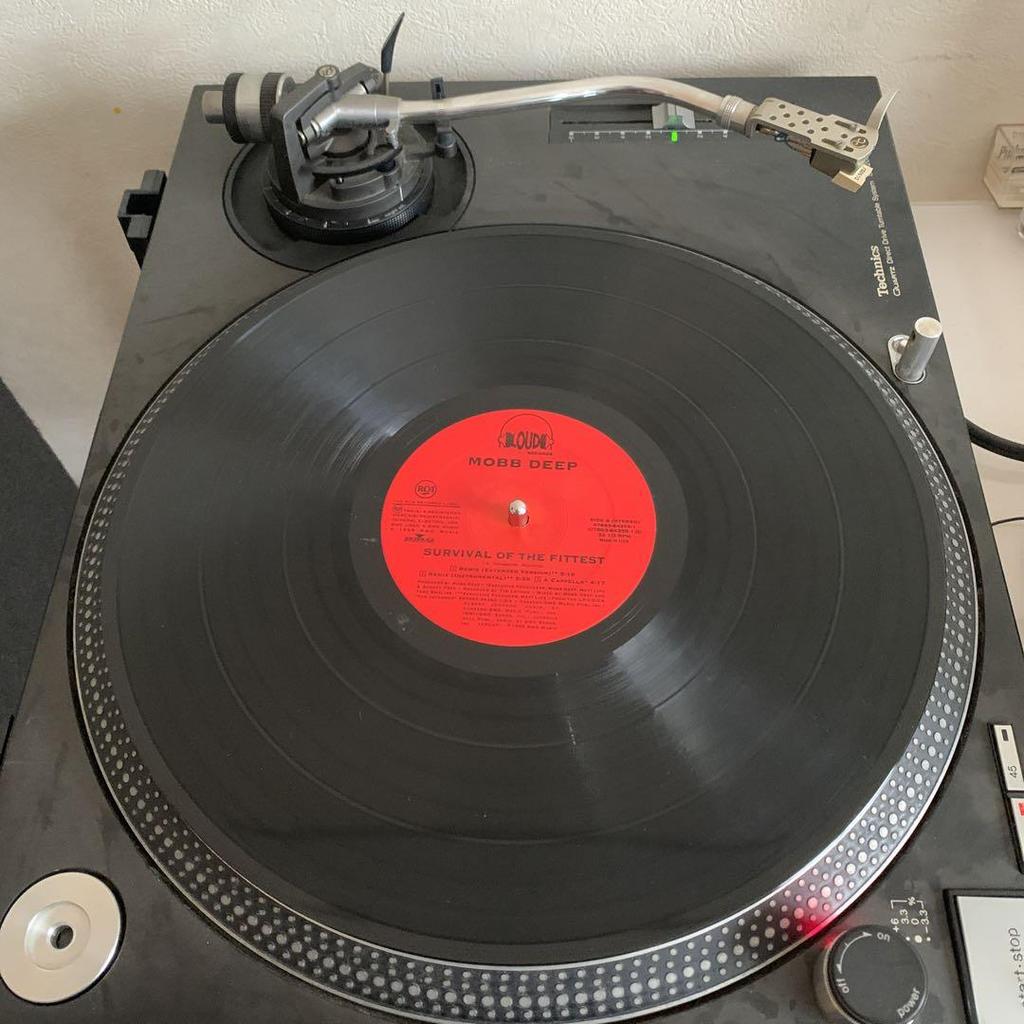 [GEBRAUCHT] Mobb Deep Survival of the Fittest