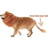 Dog Wig, Pet Wig, Pet Wig, - Pullover, Dog Pullover, Dog Pullover, - Pullover
