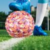 Pokémon Theme Size 5 Soccer Ball, Suitable for Both Indoor and Outdoor Matches, a Gift Suitable for Everyone.