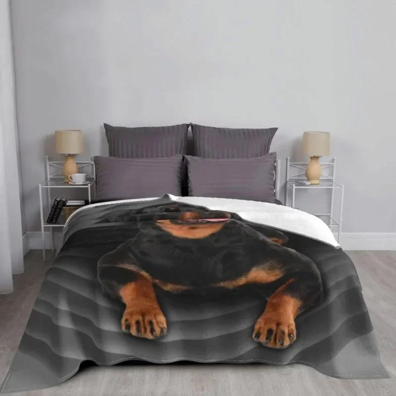 Rottweiler Face Soft Flannel Fleece Warm Pet Butcher Dog Rott Rottie Dog Throw Blanket for Home Bedding Couch Bedspreads