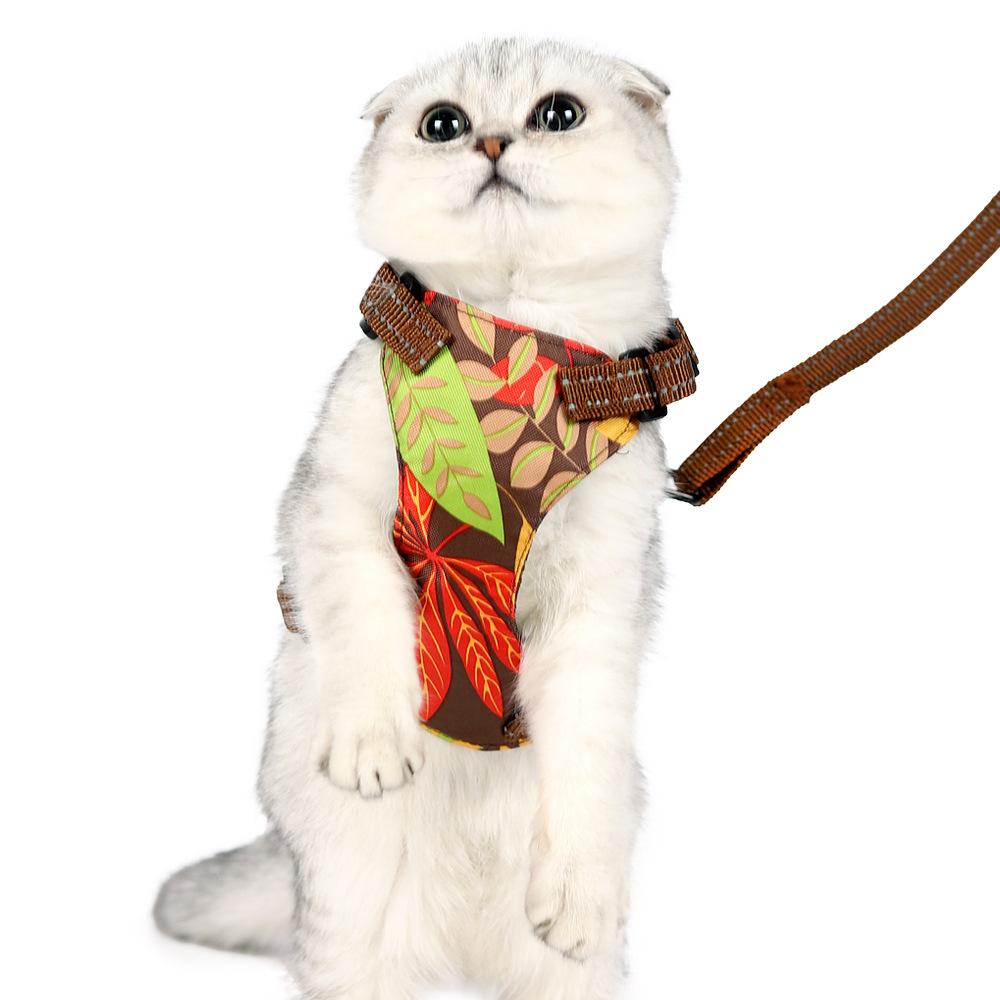 Cat harness, cat leash, anti-escape cat harness, Hawaiian style cat harness, cross-border model S золотой