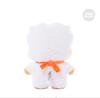 [USED] BTS BT21 RJ Tatton Plush Toy, Neton, RJ Jin, Small