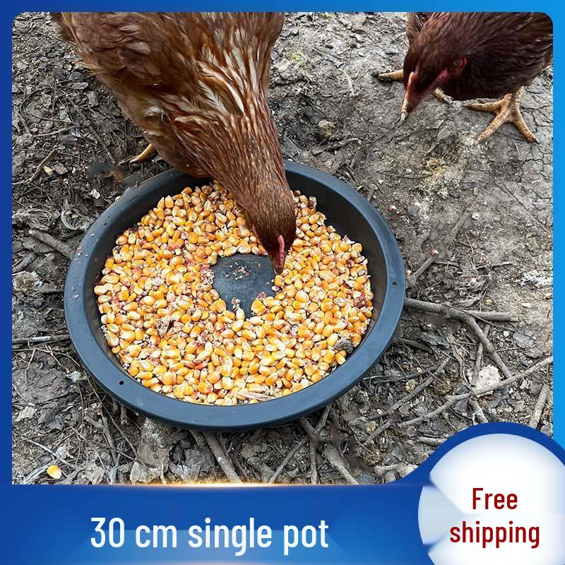 Chicken and Piglet Feed: Free-range Poultry and Pig Nursery Nutrient Mix with Feed Trough