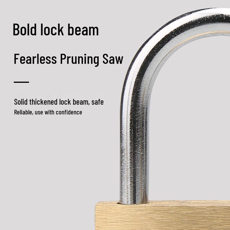 XinZhan 60mm Brass Padlock