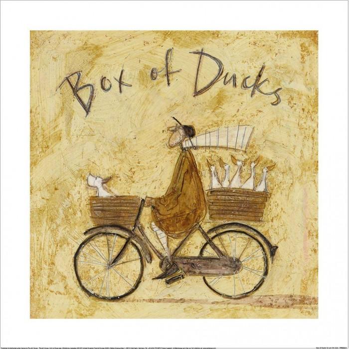 Sam Toft Box Of Ducks Print