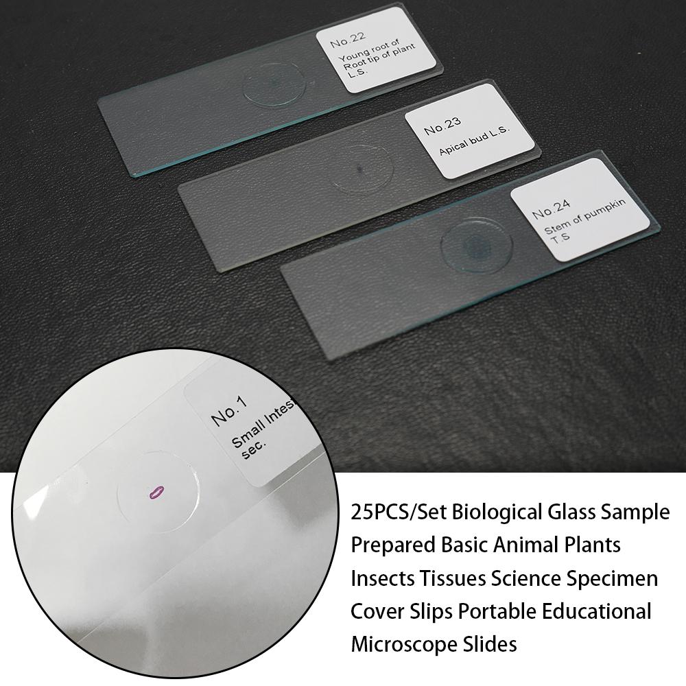 

25PCS Set Biological Glass Sample Prepared Basic Animal Plants Insects Tissues Science Specimen Cover Slips Portable