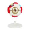 Anatomical Human Eye Model 6X Enlarged Human Eyeball Anatomy Model For Teaching Demonstration And Science Education