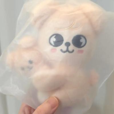Sealed Dominant Ancon Skiju Magnet Plusle Set Perfume / Stray Kids