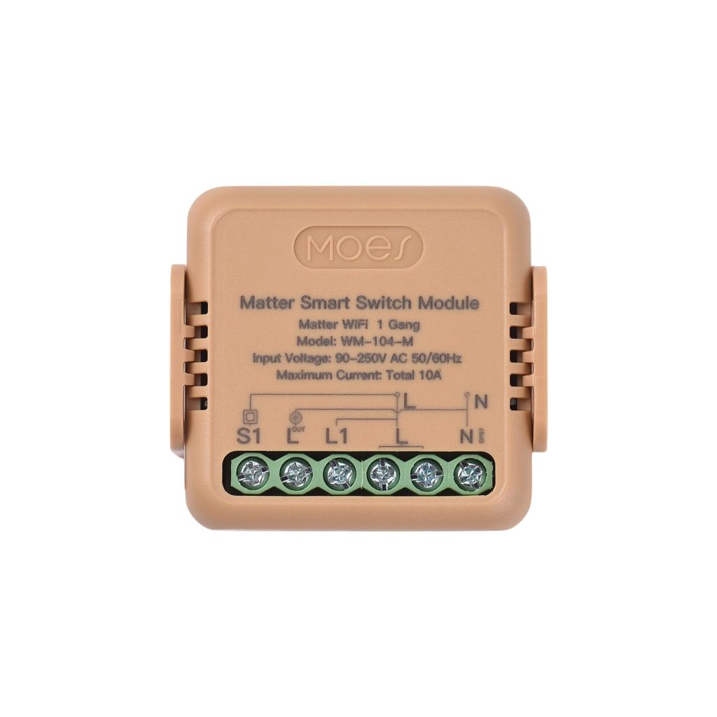 Matter Smart Switch TY WiFi Relay Module 10A Universal DIY Wireless Light Switch APP and Voice Control with Timer