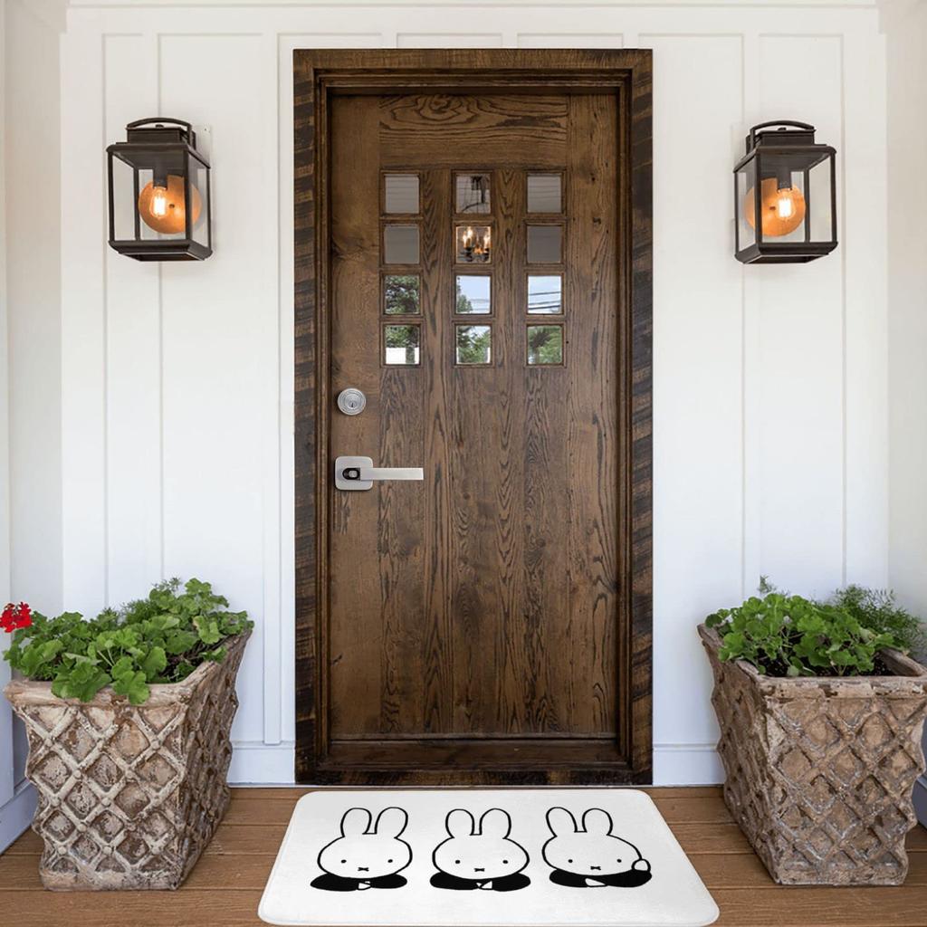 Miffy Entrance and Fully Perfect for Indoor and Outdoor Fluffy Bath Door Mud Removal and Home 40x60cm Mat, Stylish, Non-slip, Washable, Quick-drying,