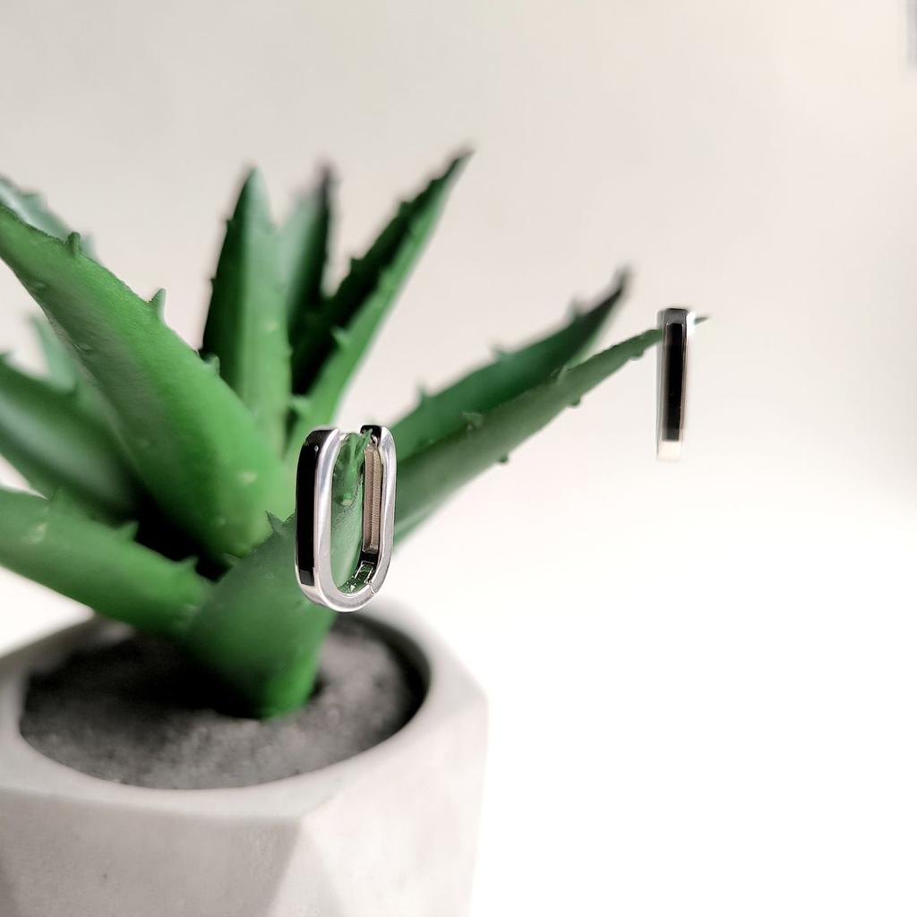 Silver Earrings with Enamel (2174943)