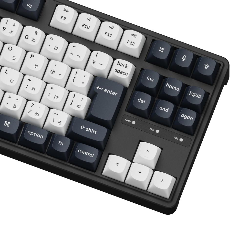 Keychron C3 Pro Custom Gaming Keyboard, Compact Tenkeyless LayoutJIS LayoutRGB BacklitWired Mechanical KeyboardHot-SwappableGasket MountDouble-Shot