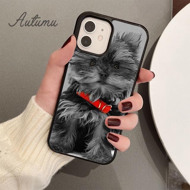 yorkshire terrier dog puppy Phone Case for iPhone 11 12 13 14 Pro Max mini X XR XS SE 2020 6S 7 8 Plus Samsung S21 S22 shell