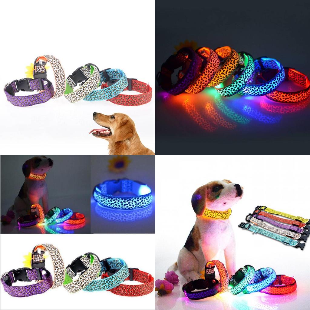 Usb Rechargeable Glowing Dog Collar For Safe Night Walks For Large Medium Small Pets