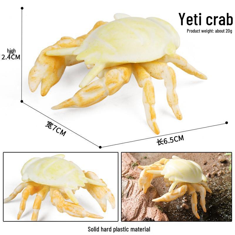 Cognitive Ocean Animal Model Toy - Salmon, Bass, Tuna, Marlin, Shark