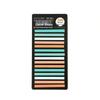 Translucent PET Color-Coded Index Tabs & Fluorescent Sticky Notes