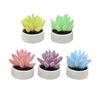 5Pcs Miniature Potted Plants 1/12 Scale Doll Mansion Accessories Realistic Mini Plant Model for Collectors Kids Imaginative Play