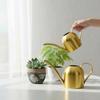 Golden 500ML Stainless Steel Watering Can with Long Spout - Green Plant Sprayer & Small Garden Sprinkler