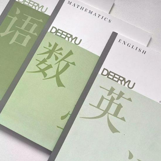 

Набор тетрадей на кольцах для ученика средней школы: Язык, Математика, Английский, Политика, История, География, Физика, Химия, Биология.