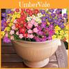 Artificial Mini Daisy Flower Bouquet For Home Decor And Wedding Centerpiece