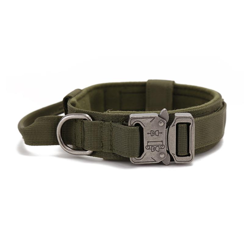 dog training belt