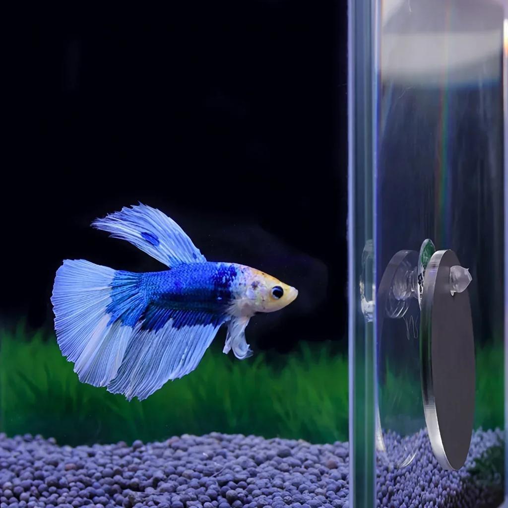 Floating Betta Exercise Mirror Dia.  Floating Round Mirror Fish Tank Antidepressant Betta Training Mirror