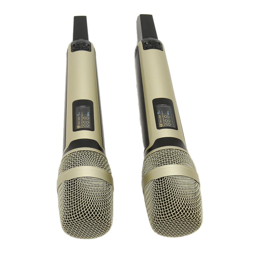 Wireless Microphone System Professional 1 for 2 Handheld Dynamic Mic System with Receiver and LCD